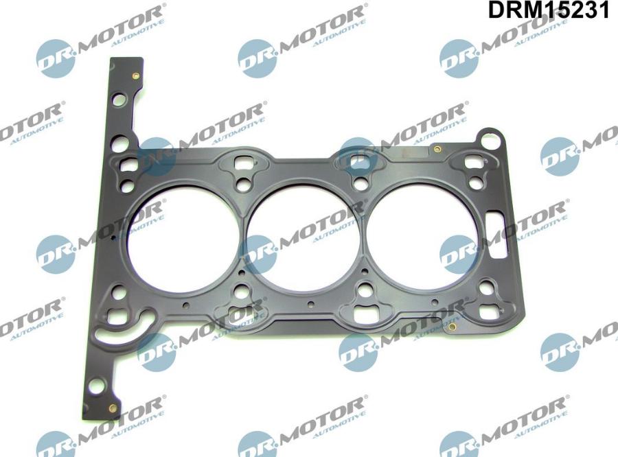 Dr.Motor Automotive DRM15231 - Gasket, cylinder head onlydrive.pro