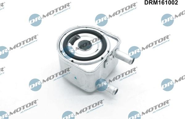 Dr.Motor Automotive DRM161002 - Oil Cooler, engine oil onlydrive.pro