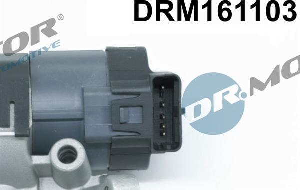 Dr.Motor Automotive DRM161103 - ERG vožtuvas onlydrive.pro