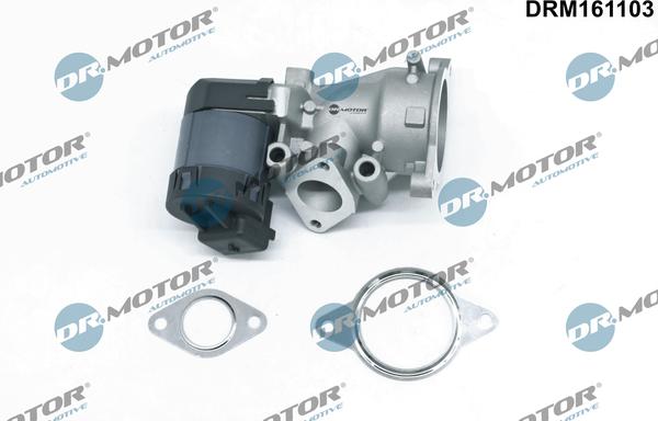 Dr.Motor Automotive DRM161103 - Izpl. gāzu recirkulācijas vārsts onlydrive.pro