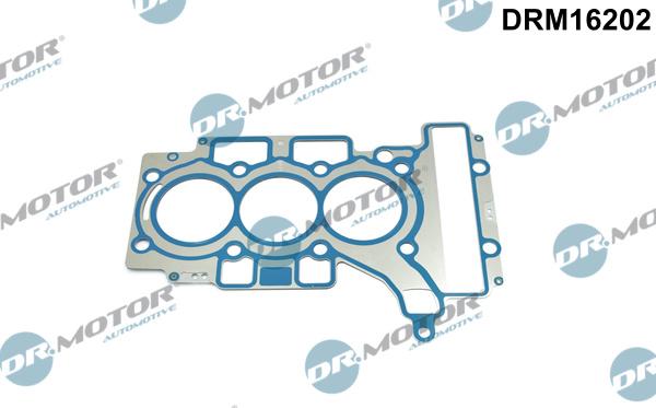 Dr.Motor Automotive DRM16202 - Gasket, cylinder head onlydrive.pro