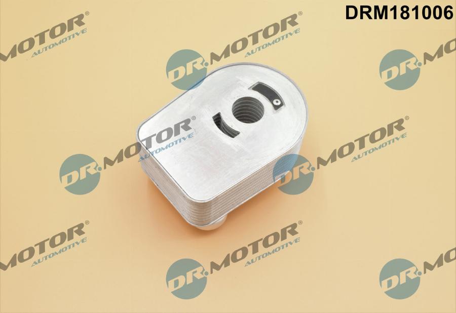 Dr.Motor Automotive DRM181006 - Oil Cooler, engine oil onlydrive.pro