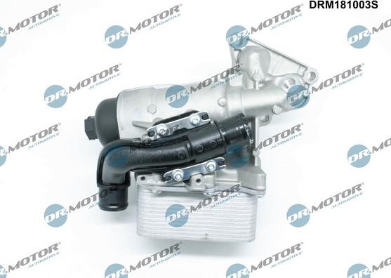 Dr.Motor Automotive DRM181003S - Korpus, õlifilter onlydrive.pro