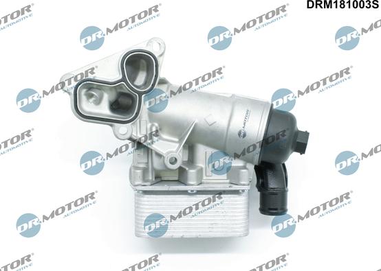 Dr.Motor Automotive DRM181003S - Housing, oil filter onlydrive.pro