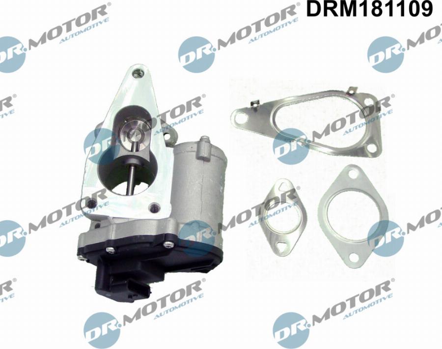 Dr.Motor Automotive DRM181109 - Izpl. gāzu recirkulācijas vārsts onlydrive.pro