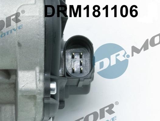 Dr.Motor Automotive DRM181106 - EGR Valve onlydrive.pro