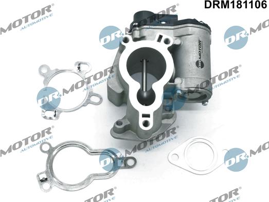 Dr.Motor Automotive DRM181106 - Izpl. gāzu recirkulācijas vārsts onlydrive.pro