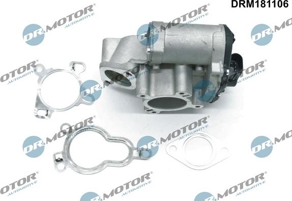 Dr.Motor Automotive DRM181106 - EGR Valve onlydrive.pro