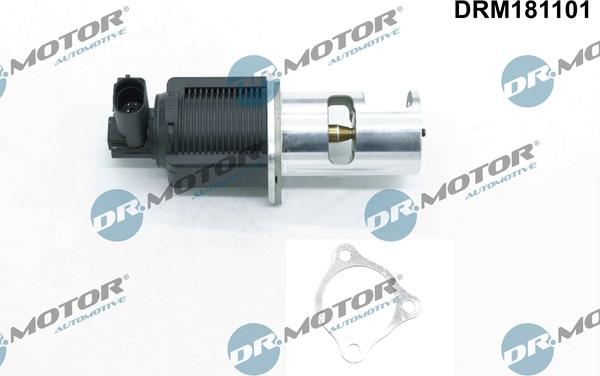 Dr.Motor Automotive DRM181101 - EGR Valve onlydrive.pro