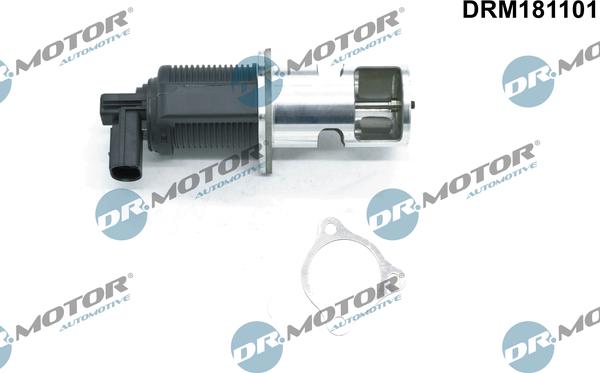 Dr.Motor Automotive DRM181101 - EGR Valve onlydrive.pro