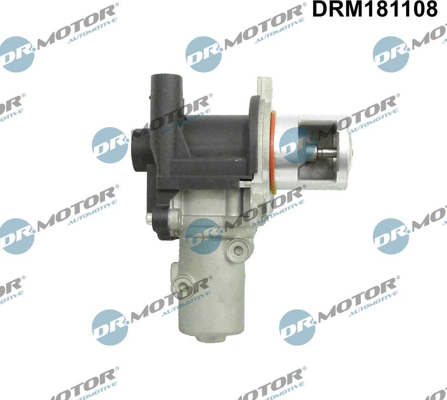 Dr.Motor Automotive DRM181108 - ERG vožtuvas onlydrive.pro