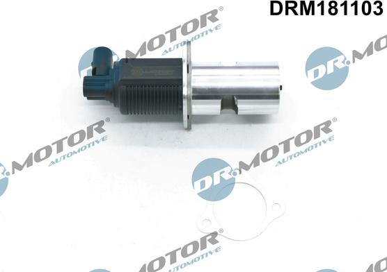 Dr.Motor Automotive DRM181103 - EGR Valve onlydrive.pro