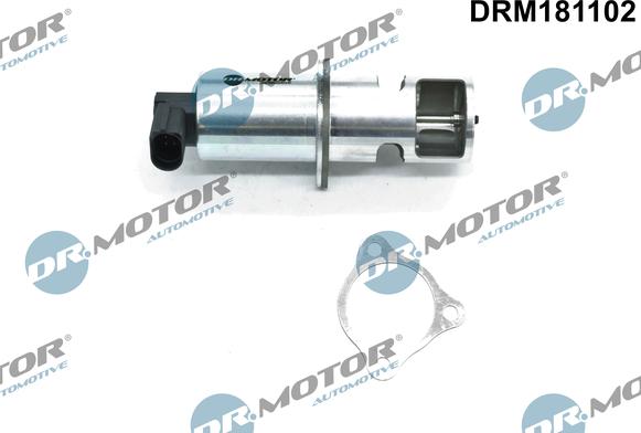 Dr.Motor Automotive DRM181102 - EGR Valve onlydrive.pro