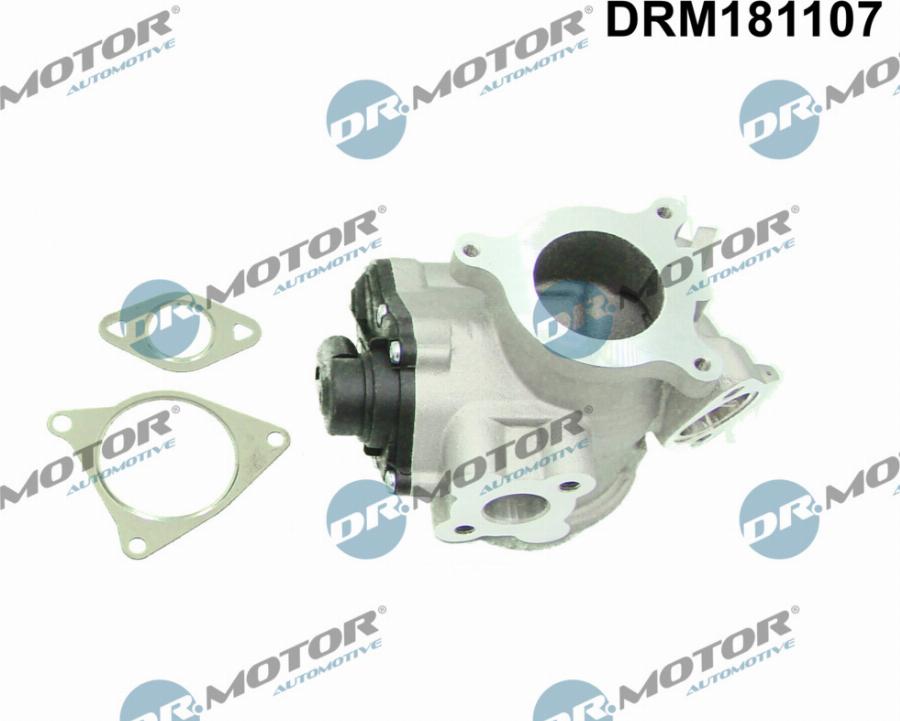 Dr.Motor Automotive DRM181107 - EGR Valve onlydrive.pro