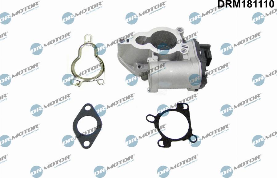 Dr.Motor Automotive DRM181110 - ERG vožtuvas onlydrive.pro