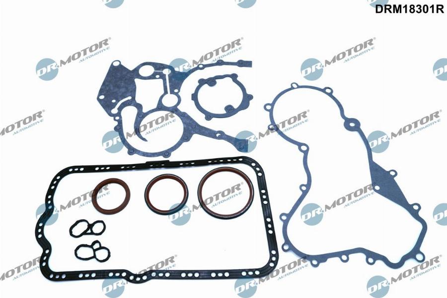 Dr.Motor Automotive DRM18301R - Gasket Set, crank case onlydrive.pro