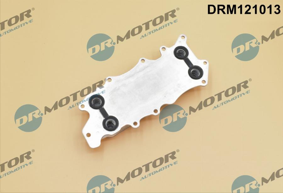 Dr.Motor Automotive DRM121013 - Oil Cooler, engine oil onlydrive.pro