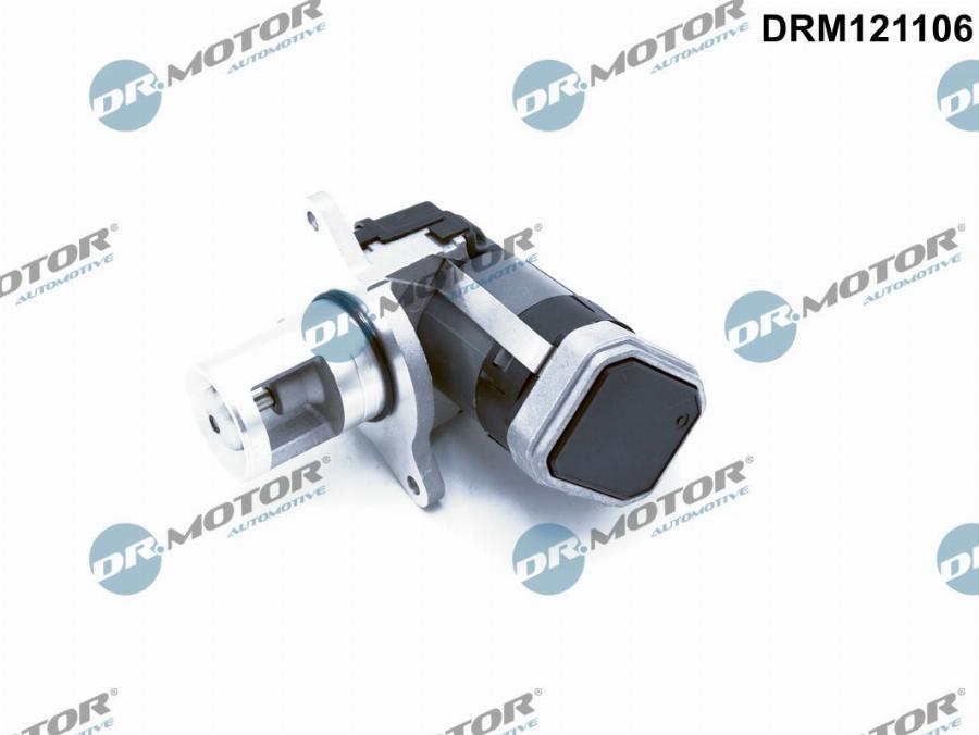 Dr.Motor Automotive DRM121106 - EGR Valve onlydrive.pro