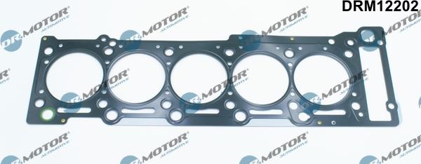 Dr.Motor Automotive DRM12202 - Gasket, cylinder head onlydrive.pro