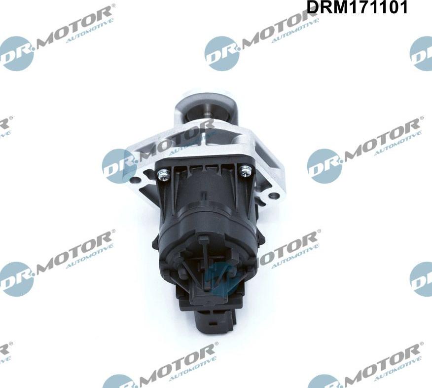 Dr.Motor Automotive DRM171101 - Izpl. gāzu recirkulācijas vārsts onlydrive.pro