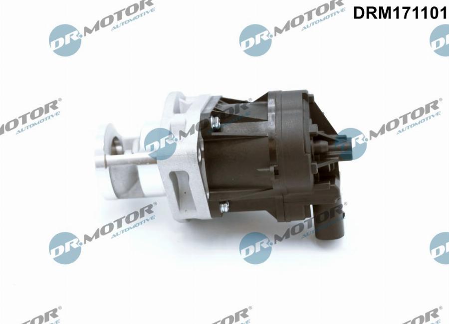 Dr.Motor Automotive DRM171101 - Izpl. gāzu recirkulācijas vārsts onlydrive.pro