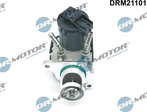 Dr.Motor Automotive DRM21101 - Izpl. gāzu recirkulācijas vārsts onlydrive.pro