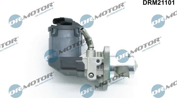 Dr.Motor Automotive DRM21101 - ERG vožtuvas onlydrive.pro