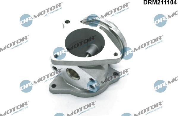 Dr.Motor Automotive DRM211104 - EGR Valve onlydrive.pro