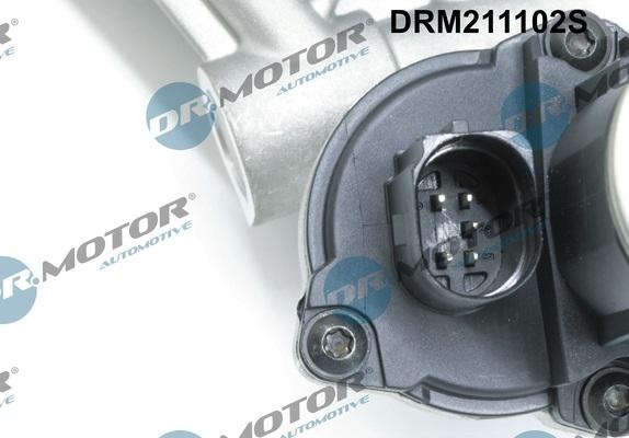 Dr.Motor Automotive DRM211102S - EGR Valve onlydrive.pro