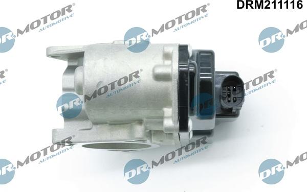 Dr.Motor Automotive DRM211116 - EGR Valve onlydrive.pro