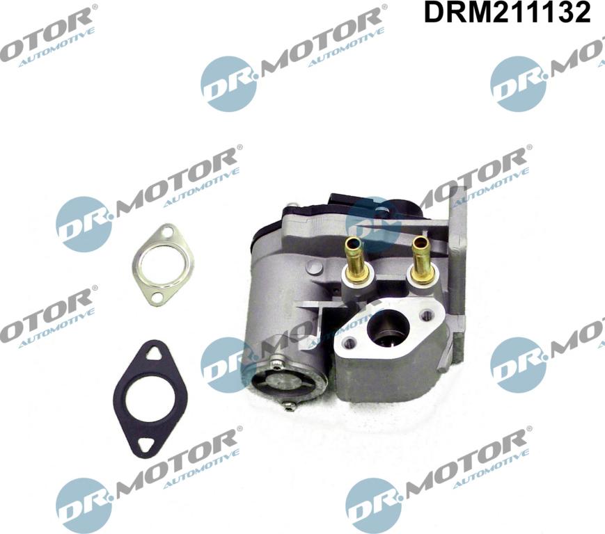 Dr.Motor Automotive DRM211132 - EGR Valve onlydrive.pro