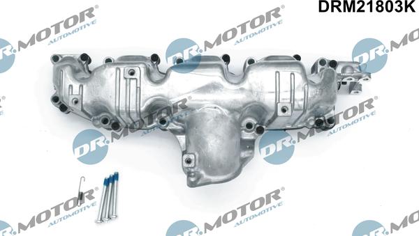 Dr.Motor Automotive DRM21803K - Õhuvõtumoodul onlydrive.pro