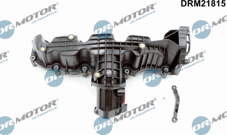 Dr.Motor Automotive DRM21815 - Įsiurbimo kolektoriaus modulis onlydrive.pro