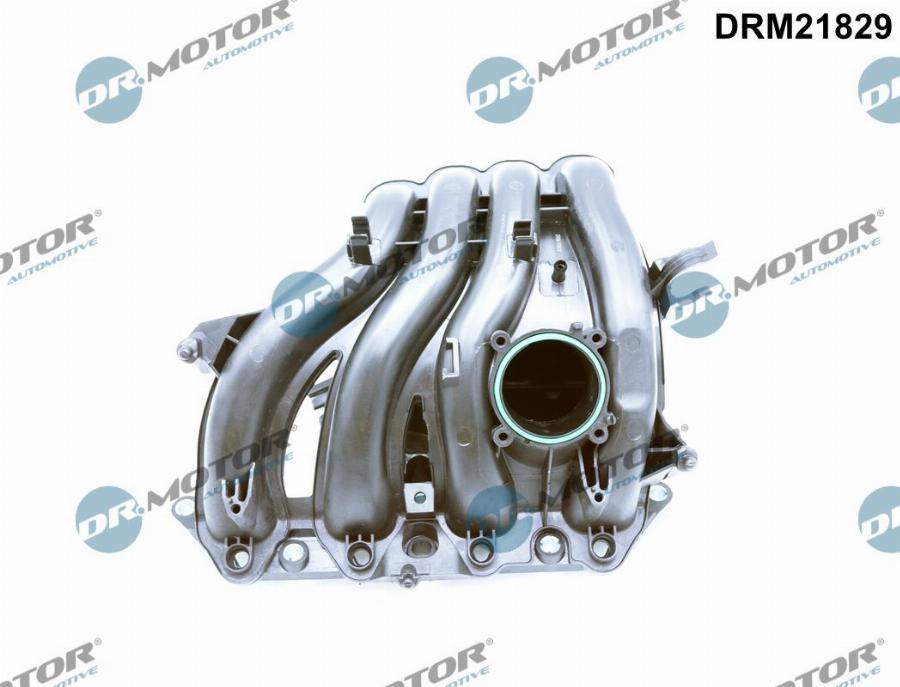 Dr.Motor Automotive DRM21829 - Intake Manifold Module onlydrive.pro