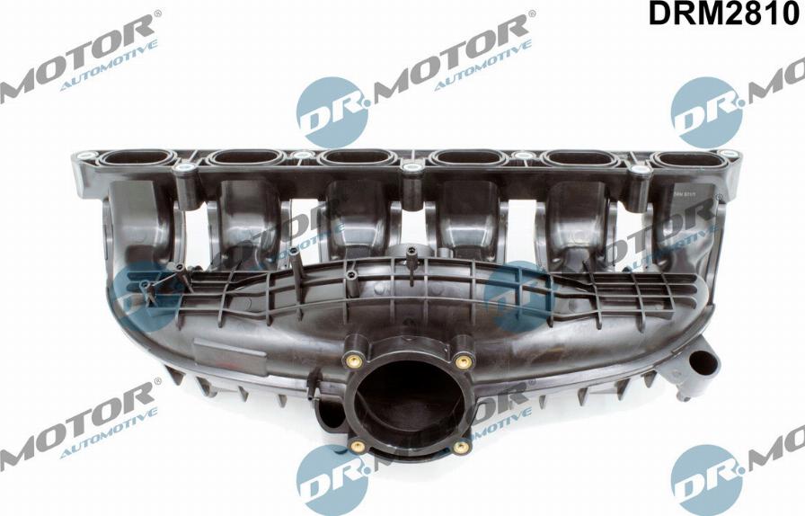 Dr.Motor Automotive DRM2810 - Įsiurbimo kolektoriaus modulis onlydrive.pro