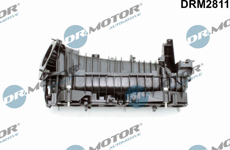 Dr.Motor Automotive DRM2811 - Ieplūdes caurules modulis onlydrive.pro