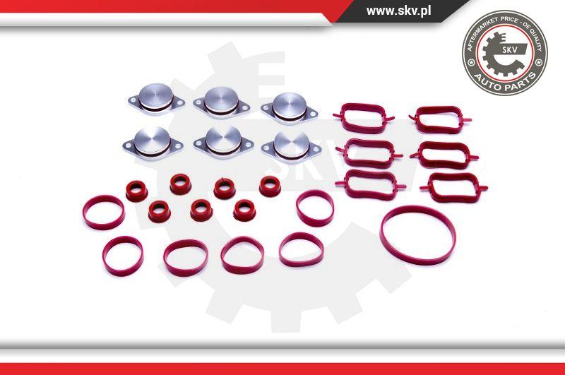 Esen SKV 96SKV045 - Gasket Set, intake manifold onlydrive.pro