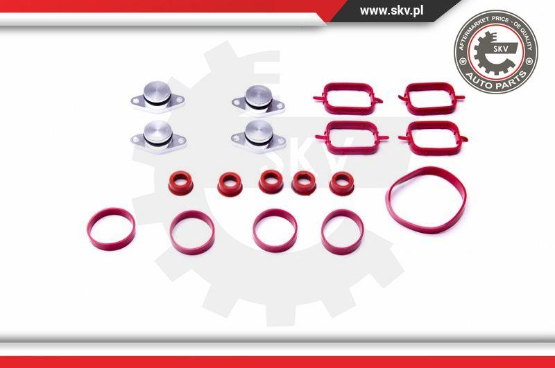 Esen SKV 96SKV054 - Gasket Set, intake manifold onlydrive.pro