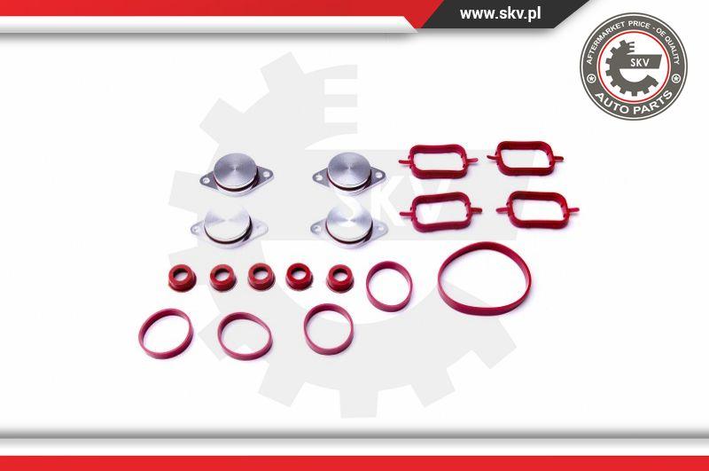 Esen SKV 96SKV053 - Gasket Set, intake manifold onlydrive.pro