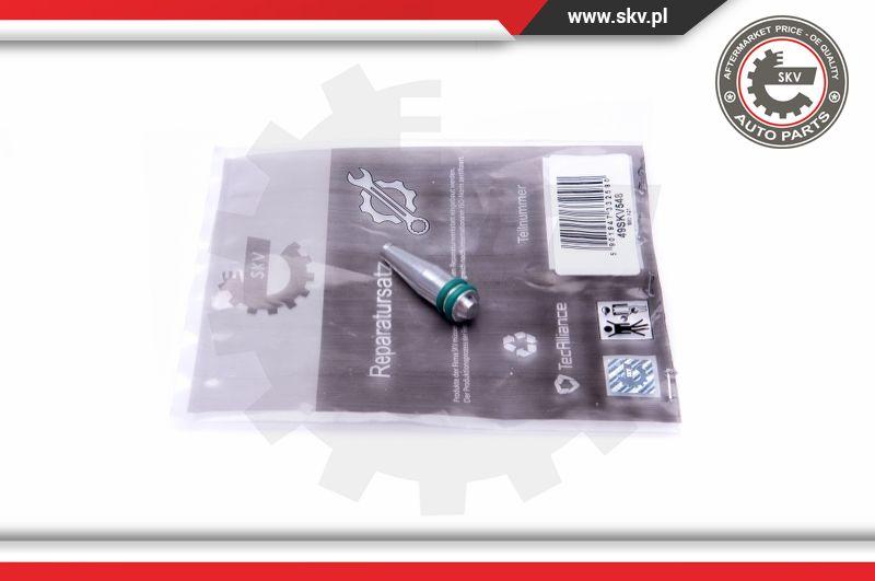 Esen SKV 49SKV548 - Repair Kit, intake manifold module onlydrive.pro