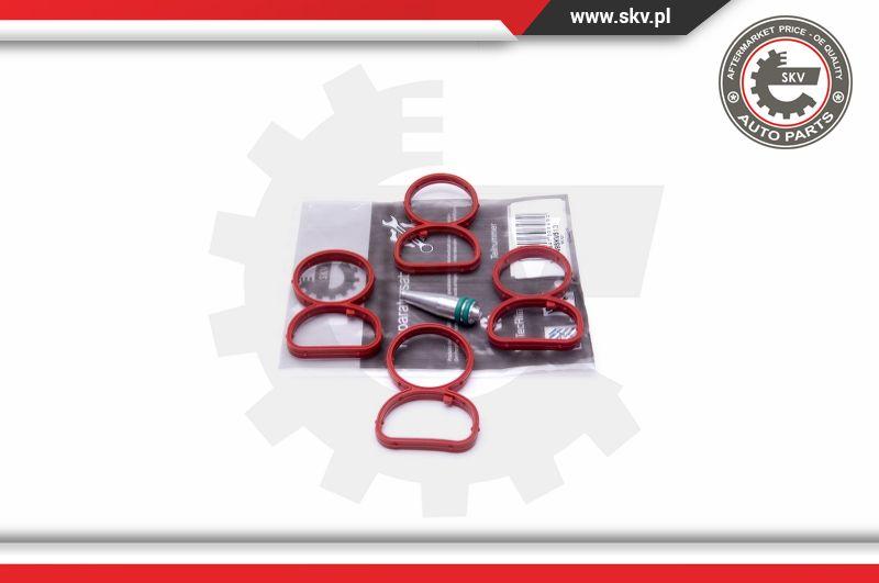 Esen SKV 49SKV513 - Repair Kit, intake manifold module onlydrive.pro