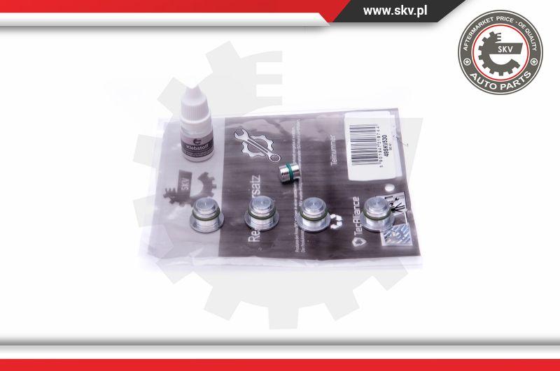 Esen SKV 49SKV530 - Repair Kit, intake manifold module onlydrive.pro