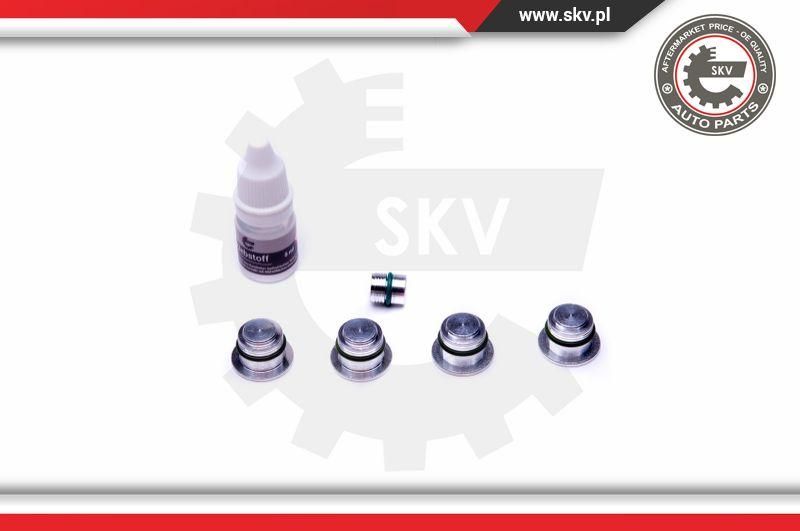 Esen SKV 49SKV530 - Repair Kit, intake manifold module onlydrive.pro