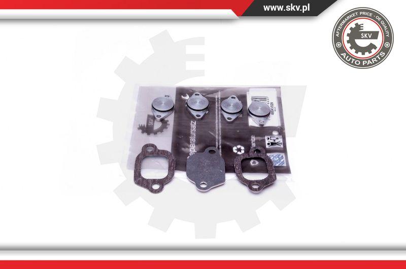 Esen SKV 49SKV529 - Repair Kit, intake manifold module onlydrive.pro