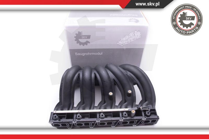 Esen SKV 49SKV012 - Intake Manifold Module onlydrive.pro