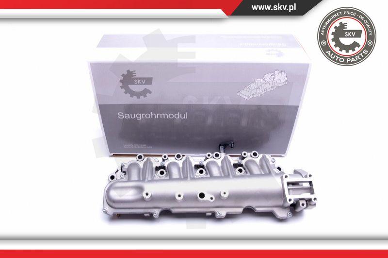 Esen SKV 49SKV029 - Intake Manifold Module onlydrive.pro