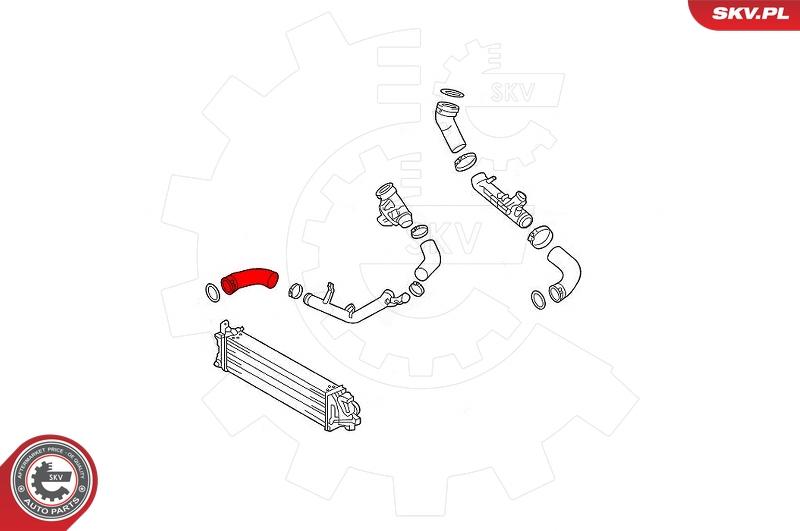 Esen SKV 43SKV406 - Трубка, нагнетание воздуха onlydrive.pro