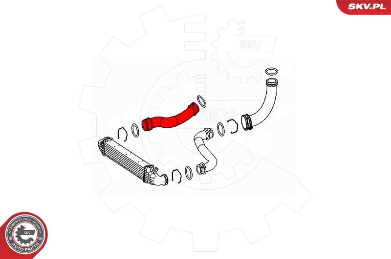 Esen SKV 43SKV421 - Charger Intake Air Hose onlydrive.pro