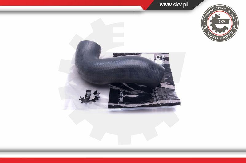 Esen SKV 43SKV171 - Charger Intake Air Hose onlydrive.pro