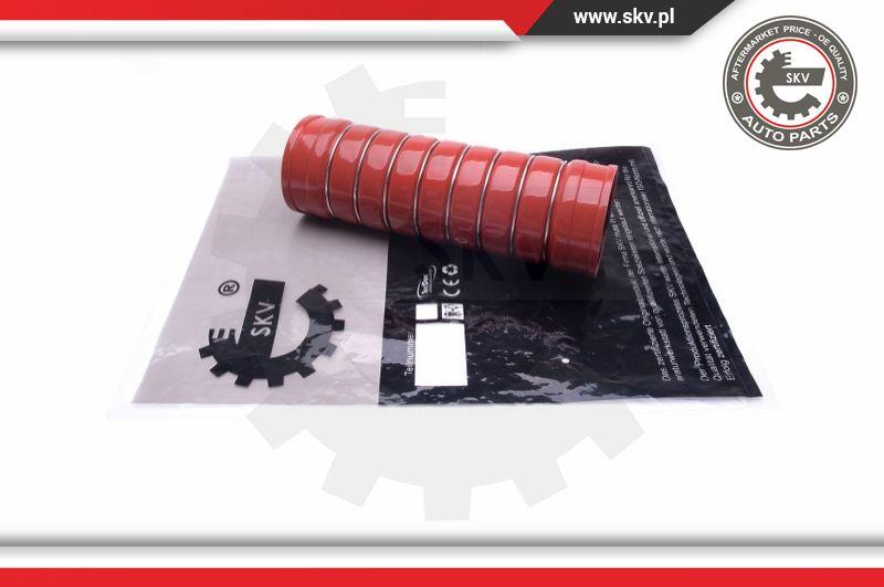 Esen SKV 43SKV391 - Charger Intake Air Hose onlydrive.pro